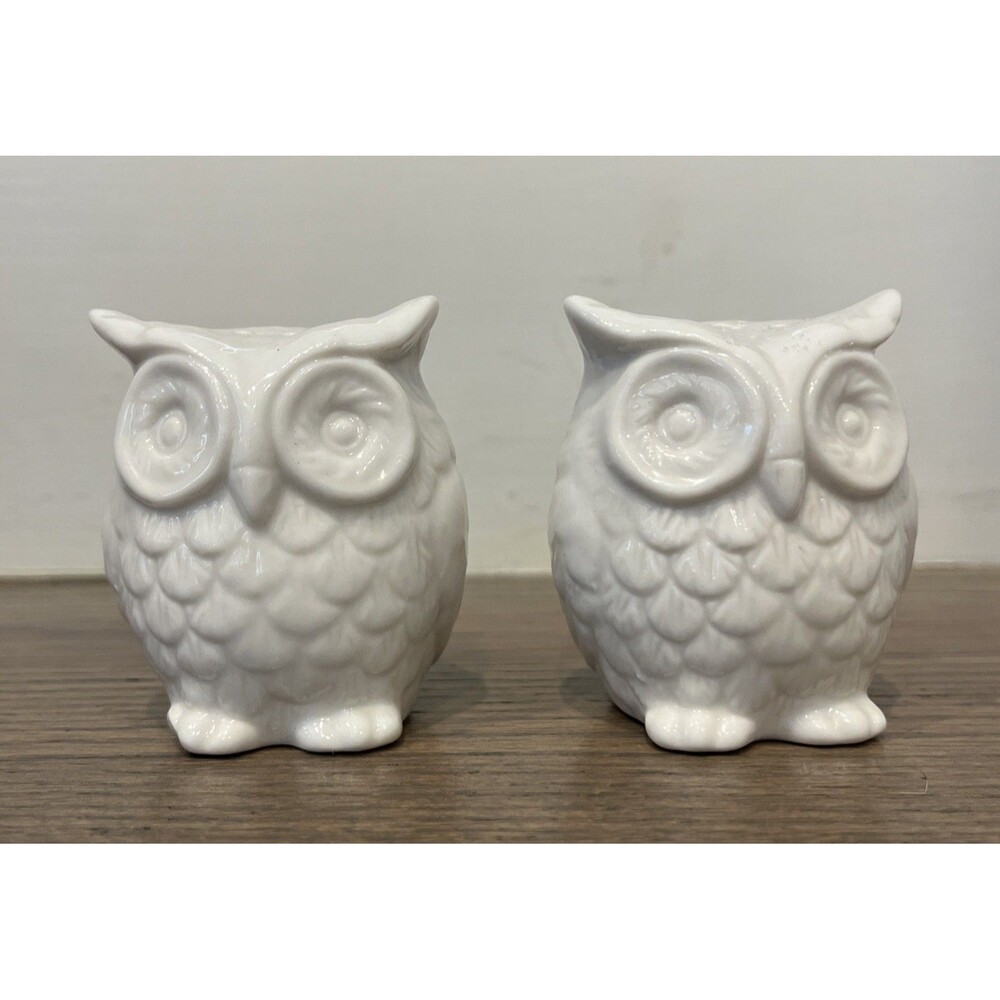 White Ceramic Owl Salt and Pepper Shakers
